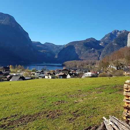 Seeblick Krippenstein Obertraun Exteriör bild