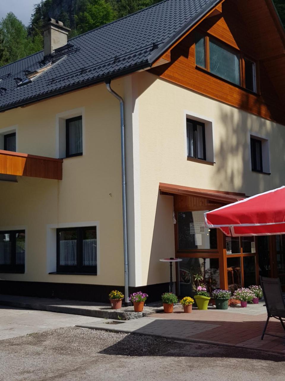 Seeblick Krippenstein Obertraun Exteriör bild